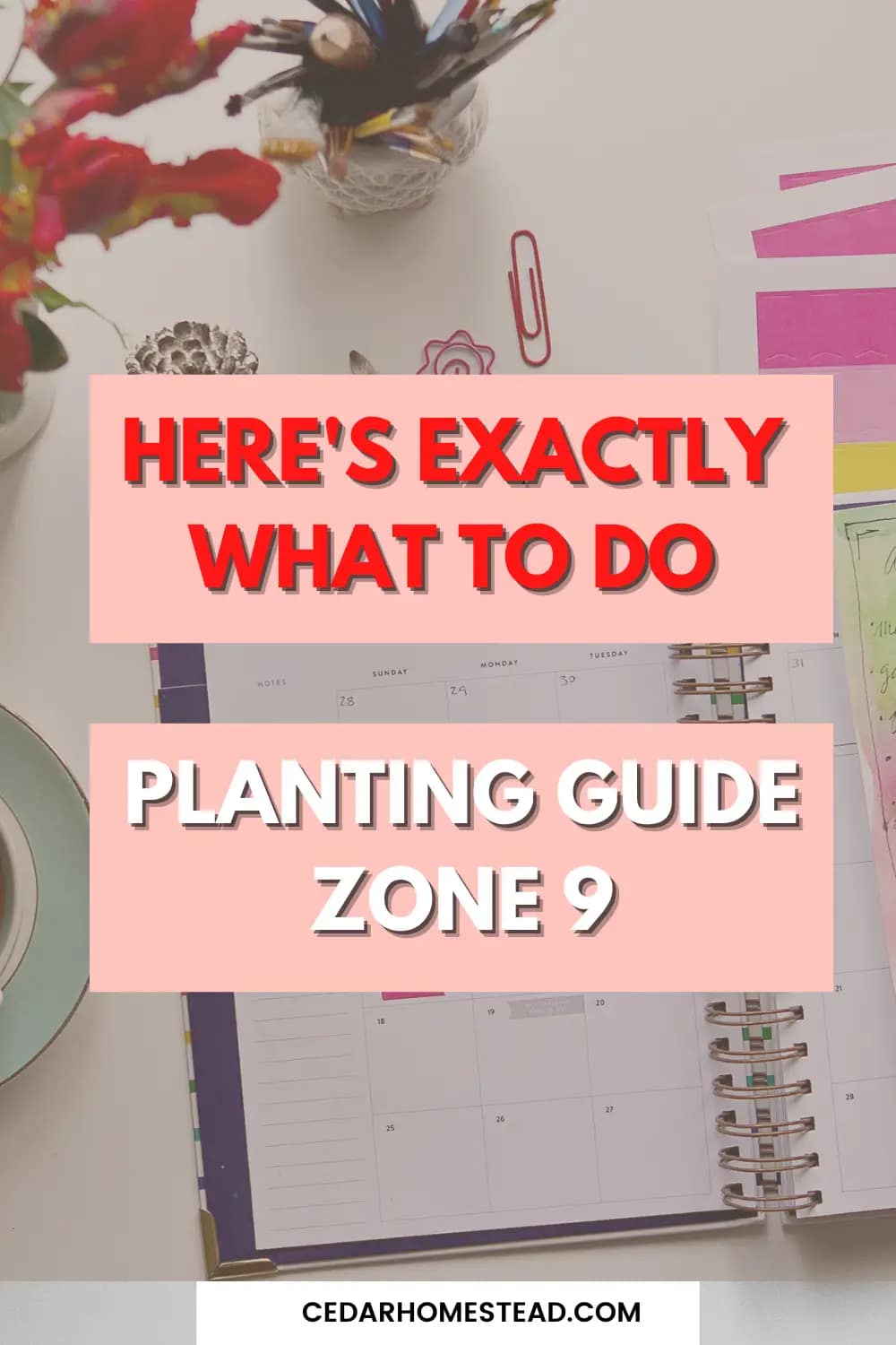 Planting Guide Zone 9 Here s Exactly What To Do Cedar Homestead