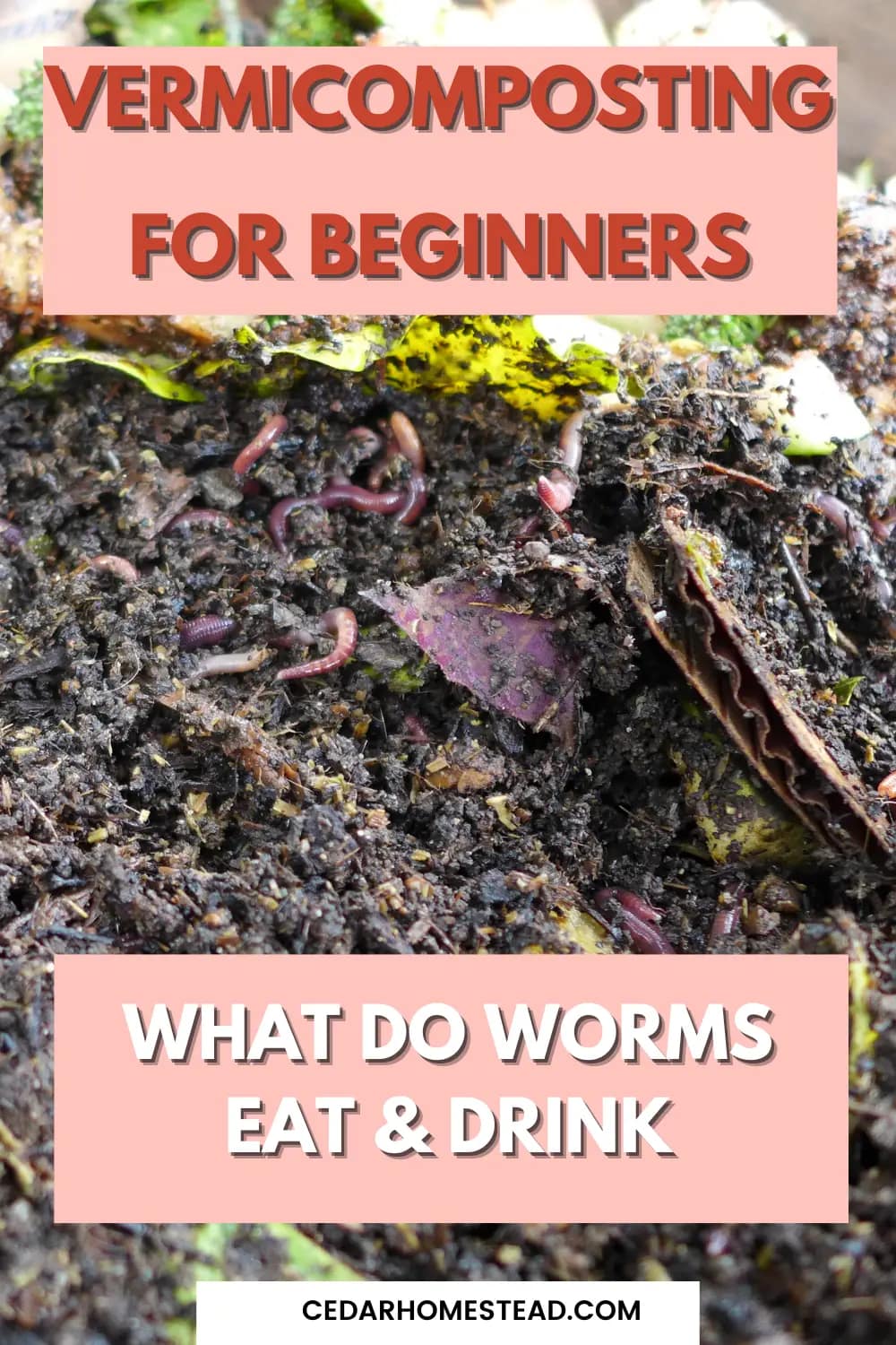 for Beginners What Do Worms Eat and Drink? Cedar Homestead