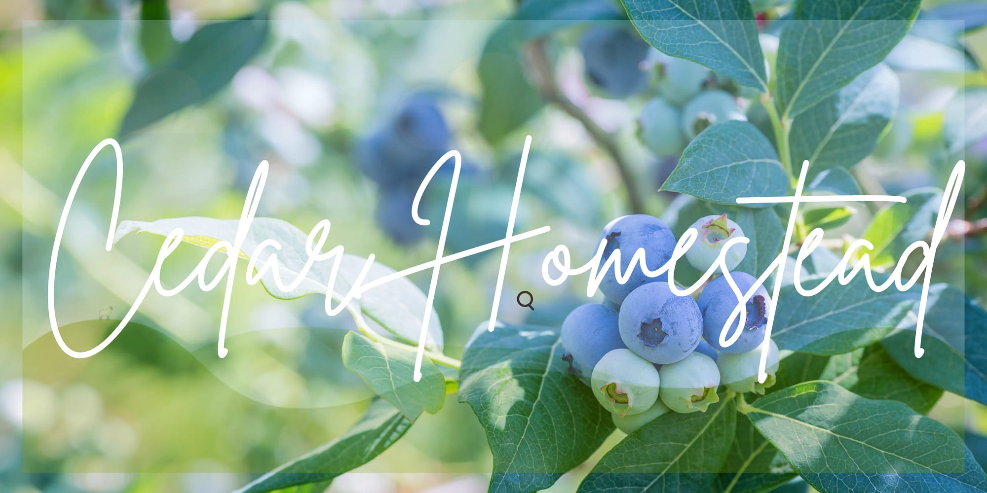 the-5-best-composts-for-the-garden-cedar-homestead