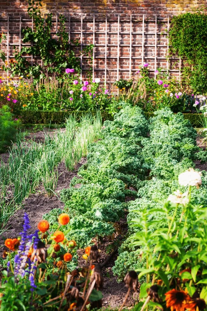 The Beginner’s Guide to Zone 7 Planting Cedar Homestead