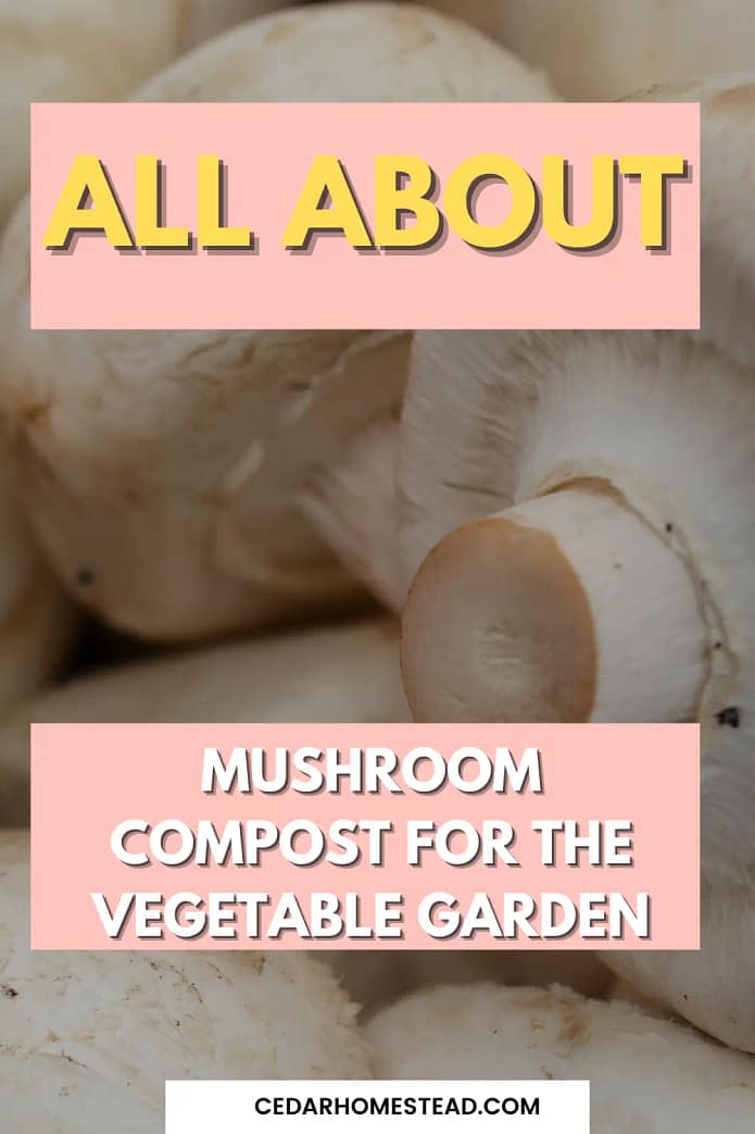 All About Mushroom Compost for the Vegetable Garden Cedar Homestead