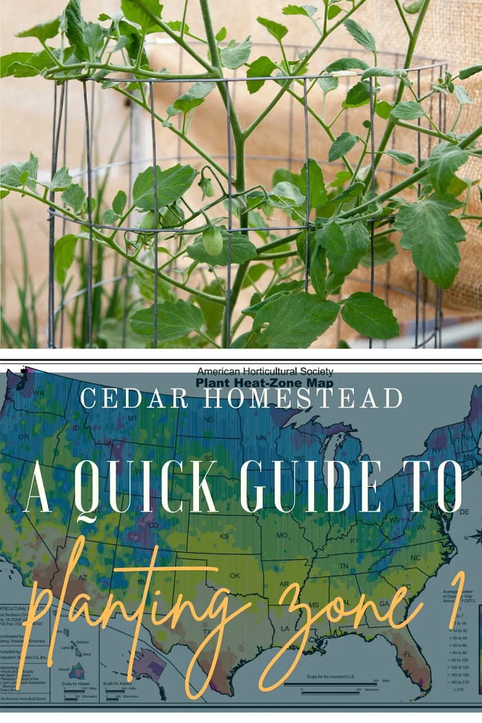 Quick Guide to Planting Zone 1 Cedar Homestead