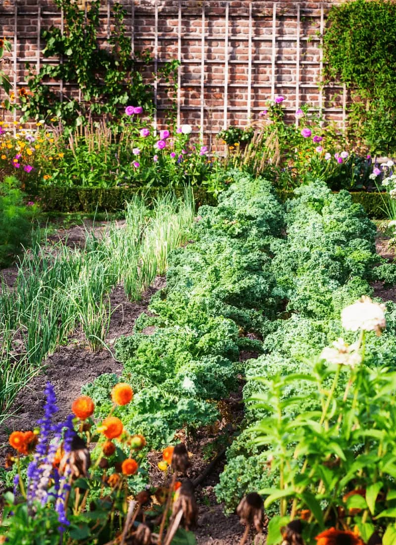 Planting Zones Archives Cedar Homestead