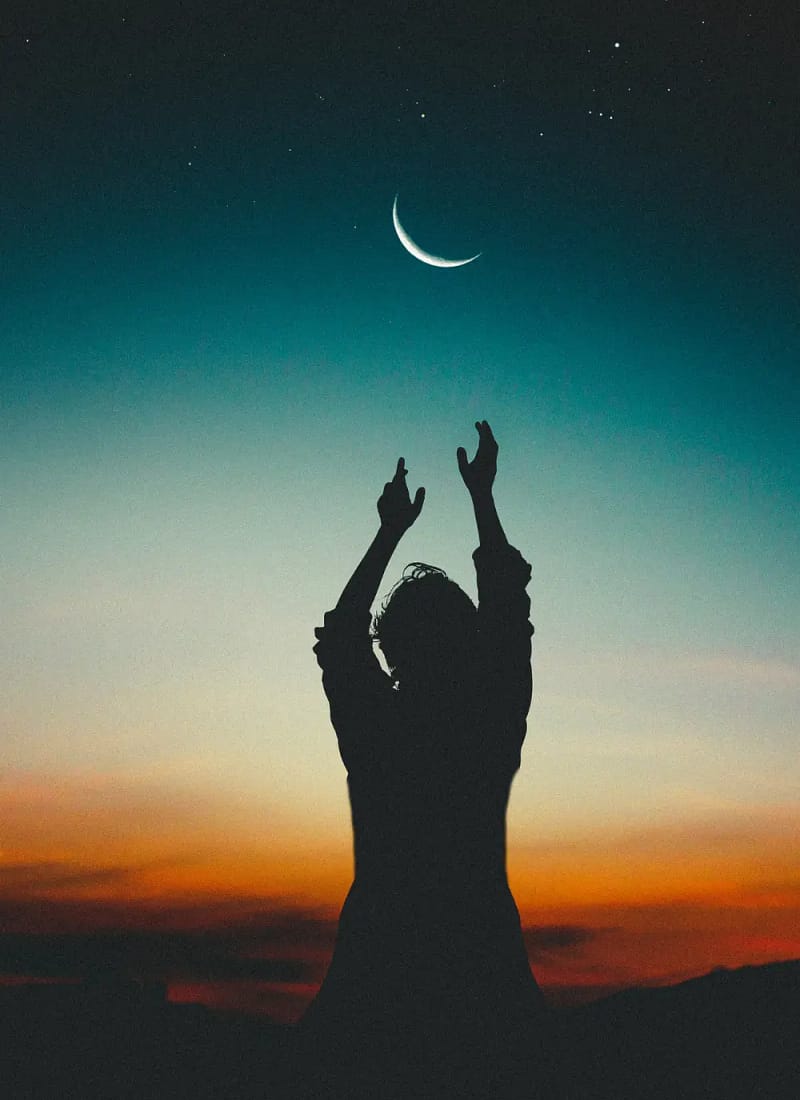 Do the Phases of the Moon Affect the Garden?