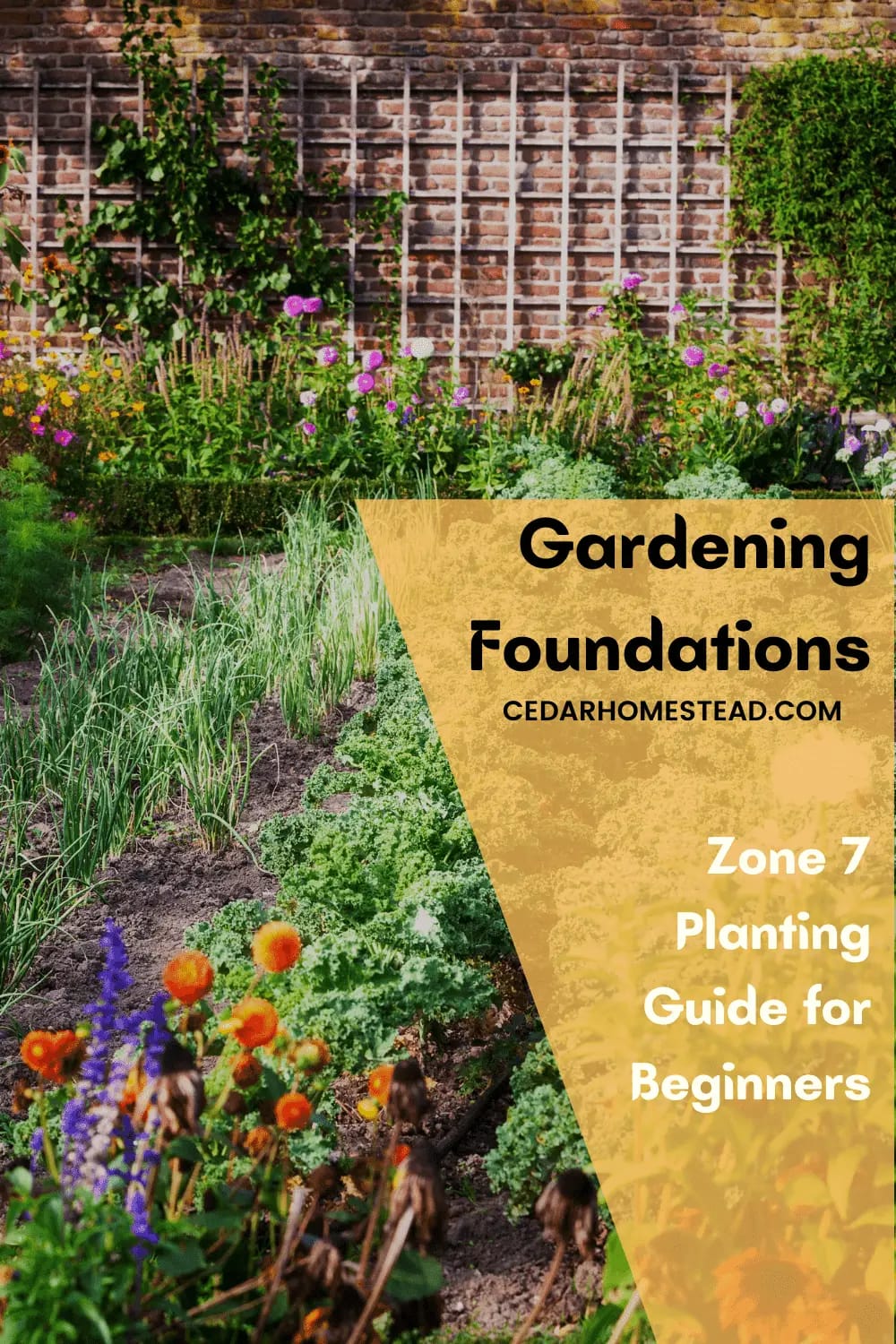 The Beginner’s Guide to Zone 7 Planting Cedar Homestead