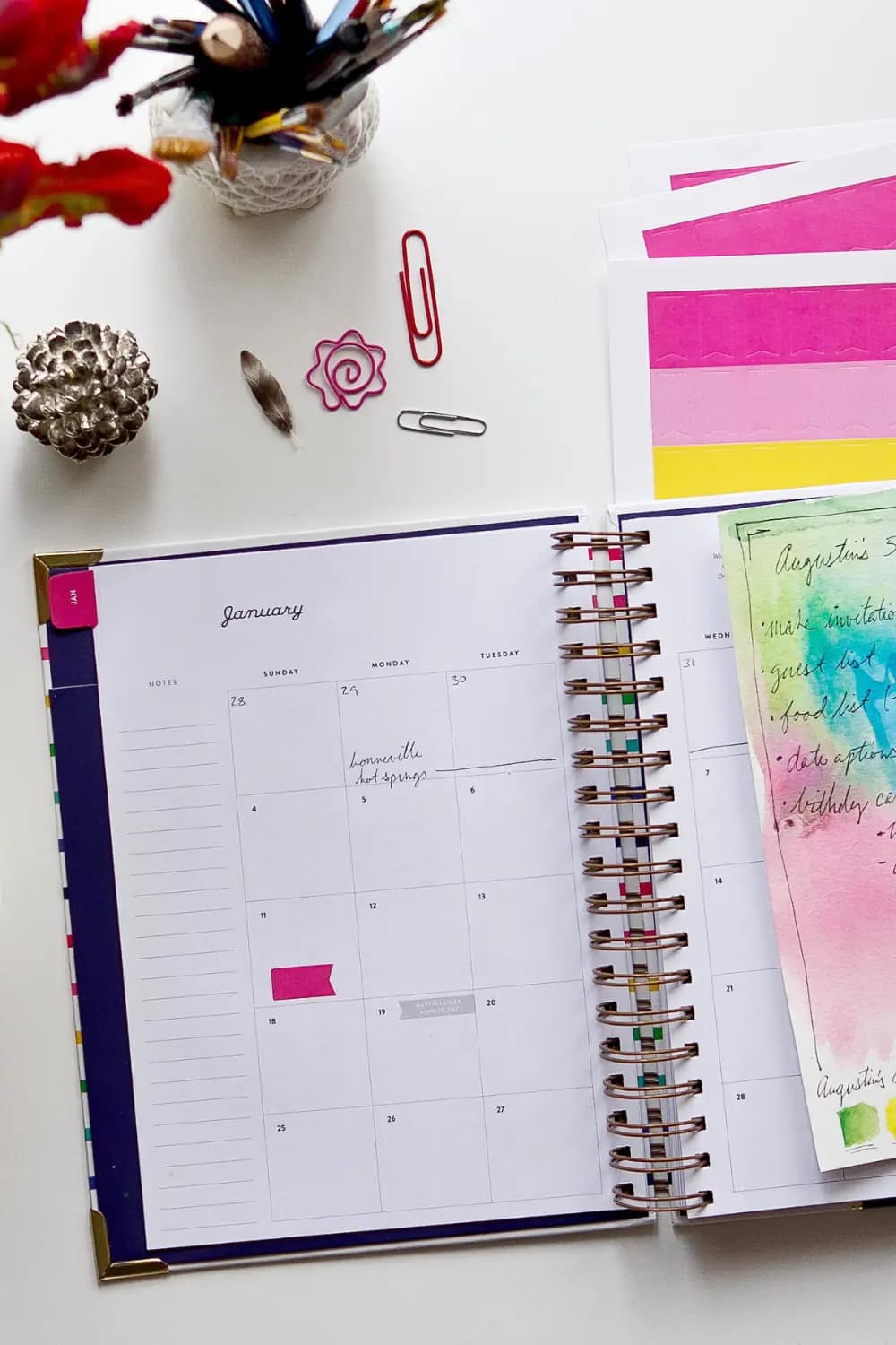 Planting Guide Zone 9 Here’s Exactly What to Do Cedar Homestead